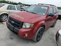 Salvage cars for sale at Cahokia Heights, IL auction: 2009 Ford Escape XLT