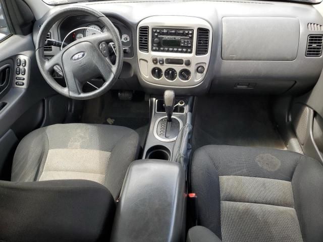 2007 Ford Escape XLT