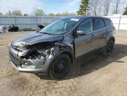 Ford salvage cars for sale: 2014 Ford Escape SE