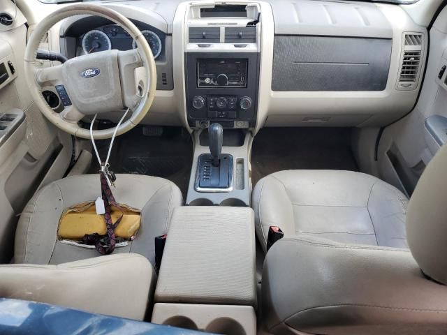 2008 Ford Escape XLT