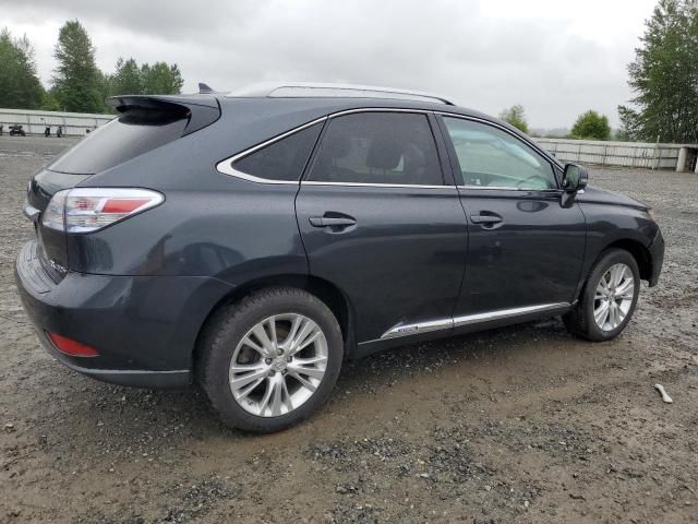 2010 Lexus RX 450