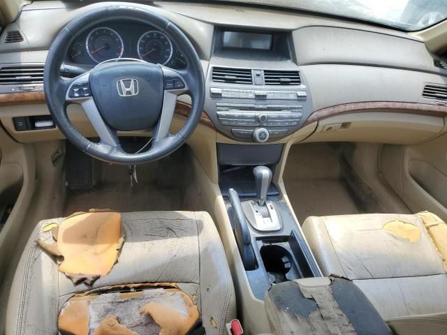 2009 Honda Accord EXL