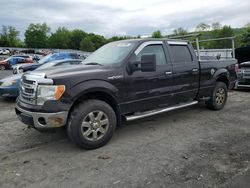 Salvage cars for sale from Copart Grantville, PA: 2013 Ford F150 Supercrew