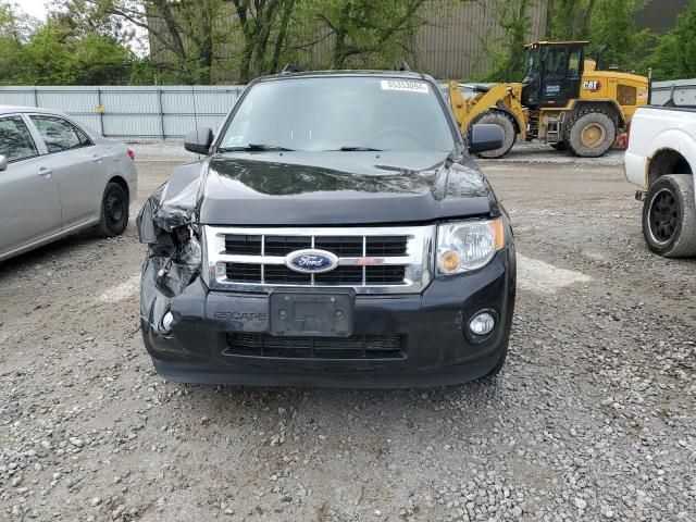 2011 Ford Escape XLT