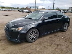 Salvage cars for sale at Colorado Springs, CO auction: 2015 Scion TC