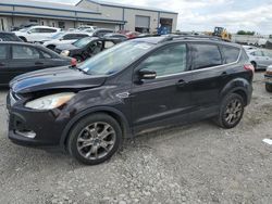 Salvage cars for sale at Earlington, KY auction: 2013 Ford Escape SEL