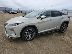 Salvage cars for sale at Nisku, AB auction: 2020 Lexus RX 350
