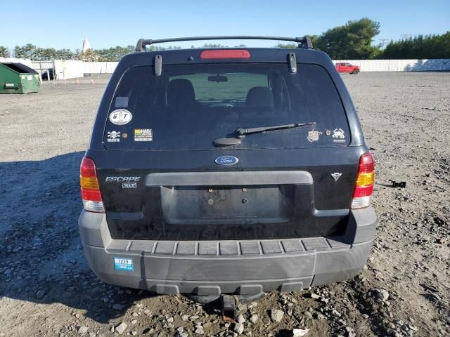 2007 Ford Escape XLT