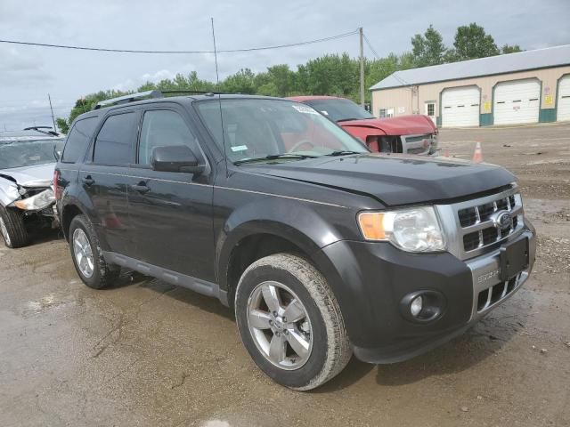 2011 Ford Escape Limited