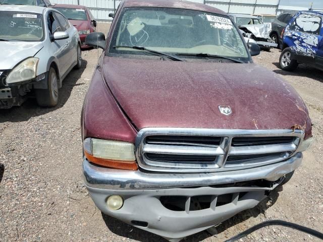 2002 Dodge Dakota Quad SLT