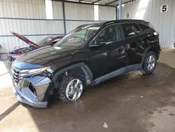 Salvage cars for sale at Brighton, CO auction: 2023 Hyundai Tucson SEL