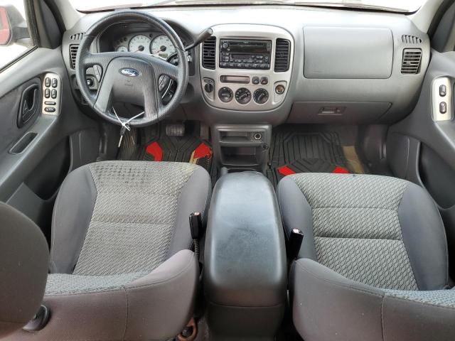 2004 Ford Escape XLT