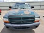 2000 Dodge Dakota