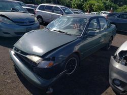 Toyota salvage cars for sale: 1997 Toyota Corolla DX