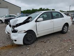 Salvage cars for sale at Lawrenceburg, KY auction: 2008 Toyota Corolla CE