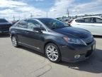 2011 Lexus HS 250H