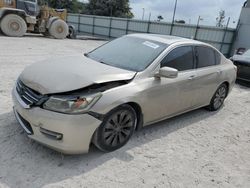 Salvage cars for sale at Apopka, FL auction: 2013 Honda Accord EXL