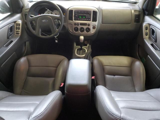 2007 Ford Escape XLT