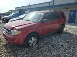 Ford Escape xlt salvage cars for sale: 2011 Ford Escape XLT