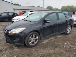 Salvage cars for sale from Copart Columbus, OH: 2014 Ford Focus SE