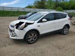 Salvage cars for sale from Copart Davison, MI: 2014 Ford Escape Titanium