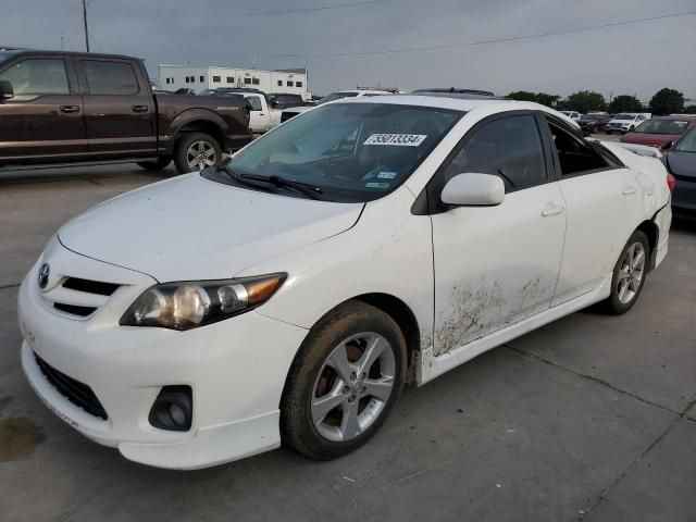 2011 Toyota Corolla Base