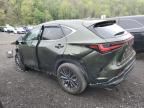 2024 Lexus NX 250 Premium