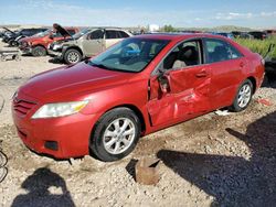 Toyota salvage cars for sale: 2010 Toyota Camry Base