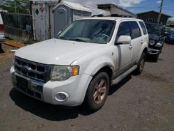 Salvage cars for sale at Kapolei, HI auction: 2008 Ford Escape HEV
