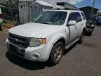 2008 Ford Escape HEV