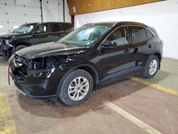 Salvage cars for sale at Marlboro, NY auction: 2020 Ford Escape SE