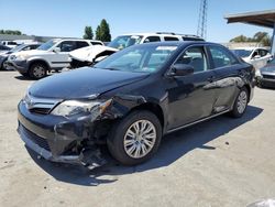 Salvage cars for sale from Copart Hayward, CA: 2014 Toyota Camry L