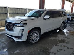 Salvage cars for sale at Homestead, FL auction: 2023 Cadillac Escalade ESV Premium Luxury