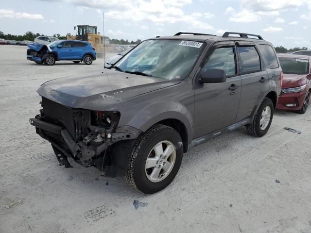 2011 Ford Escape XLT