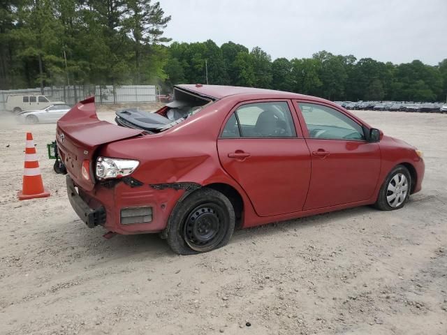 2010 Toyota Corolla Base