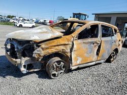 Salvage cars for sale at Eugene, OR auction: 2015 Toyota Rav4 LE