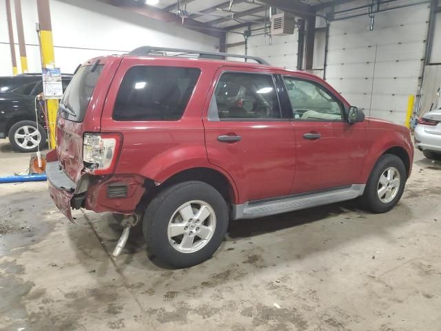 2011 Ford Escape XLT