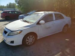 Salvage cars for sale from Copart Arlington, WA: 2009 Toyota Corolla Base