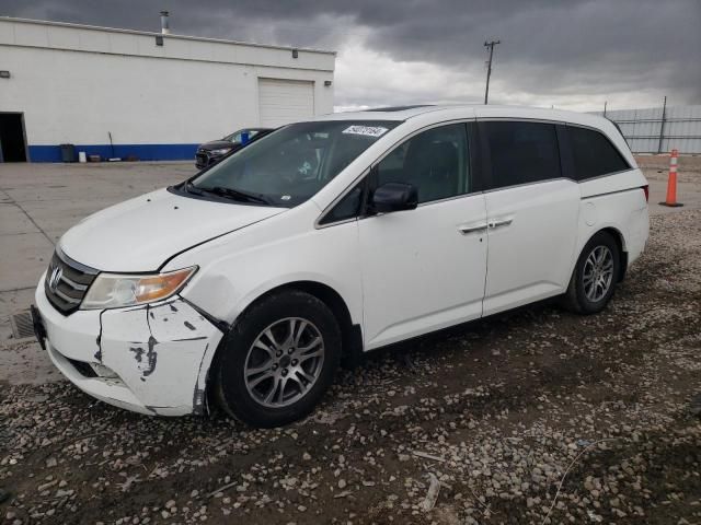 2013 Honda Odyssey EXL