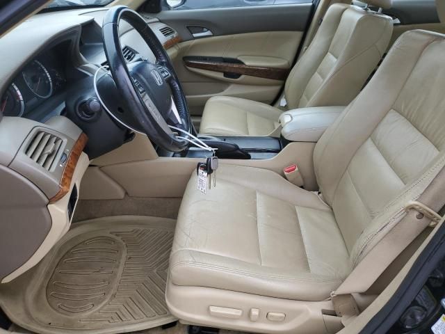 2010 Honda Accord EXL