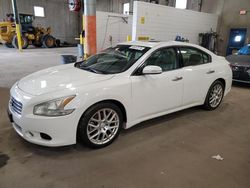 Salvage cars for sale from Copart Blaine, MN: 2009 Nissan Maxima S