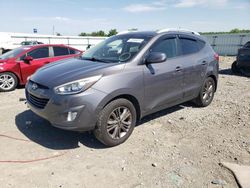 Salvage cars for sale at Earlington, KY auction: 2015 Hyundai Tucson Limited