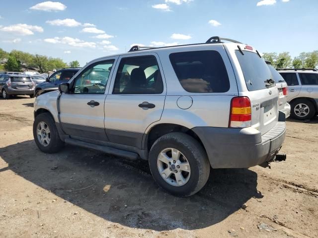 2005 Ford Escape XLT