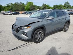 Salvage cars for sale at Madisonville, TN auction: 2024 Hyundai Tucson Limited