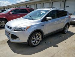 Vehiculos salvage en venta de Copart Louisville, KY: 2013 Ford Escape Titanium