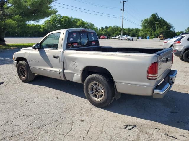 1999 Dodge Dakota