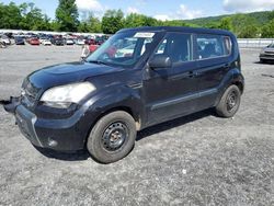 Salvage cars for sale at auction: 2011 KIA Soul