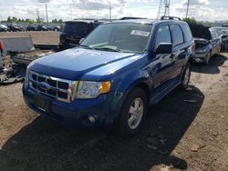 Ford Escape xlt salvage cars for sale: 2008 Ford Escape XLT