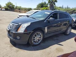 Salvage cars for sale at San Martin, CA auction: 2013 Cadillac SRX Premium Collection