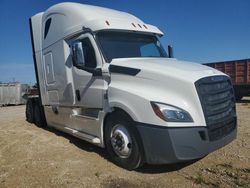 Salvage trucks for sale at Kansas City, KS auction: 2019 Freightliner Cascadia 126